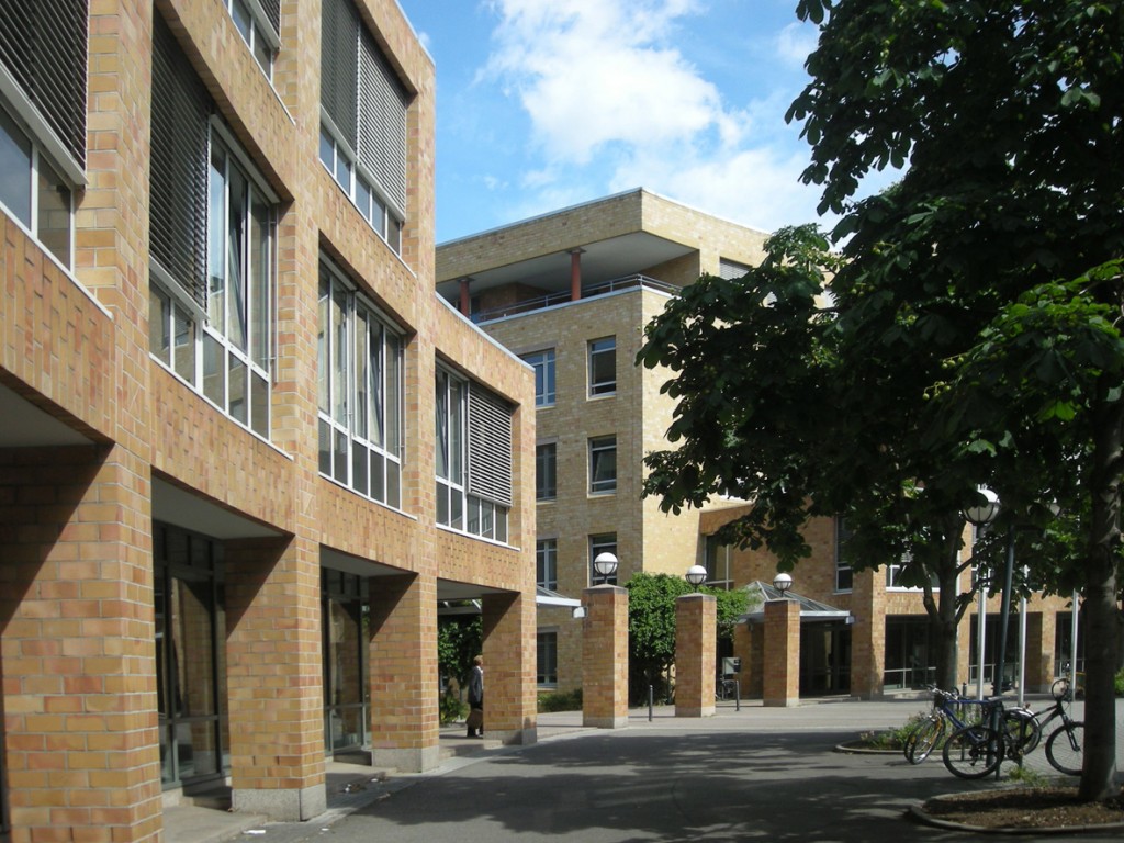 Wulle rück rund